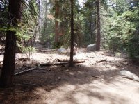 DSCN1660.JPG DSCN1660.JPG