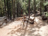 DSCN1668.JPG DSCN1668.JPG