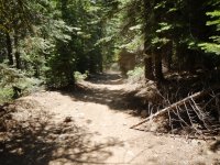 DSCN1680.JPG DSCN1680.JPG