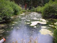 DSCN1685.JPG DSCN1685.JPG