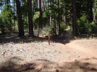 DSCN1686.JPG DSCN1686.JPG