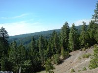 DSCN1687.JPG DSCN1687.JPG