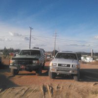 amigomeetsbronco.jpg amigomeetsbronco.jpg