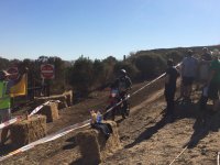 IMG_3437.JPG IMG_3437.JPG