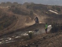 IMG_3446.JPG IMG_3446.JPG