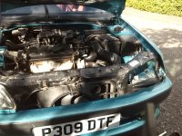 IMG_20151013_135845.jpg IMG_20151013_135845.jpg