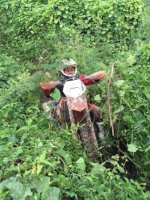 2015-10-11 10.43.19.jpg 2015-10-11 10.43.19.jpg