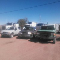 the herd thickens.jpg