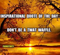 image.jpeg image.jpeg