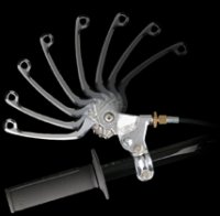 image.jpeg image.jpeg