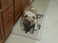 20151216_193340.jpg 20151216_193340.jpg