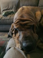 image.jpeg image.jpeg