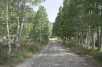 Bishop 2016 (25).jpg Bishop 2016 (25).jpg