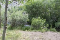 Bishop 2016 (26).jpg Bishop 2016 (26).jpg