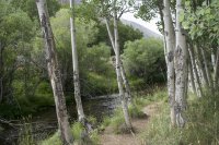 Bishop 2016 (27).jpg Bishop 2016 (27).jpg