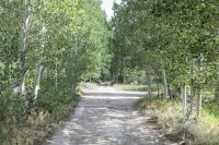 Bishop 2016 (29).jpg Bishop 2016 (29).jpg