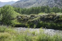 Bishop 2016 (31).jpg Bishop 2016 (31).jpg