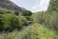 Bishop 2016 (32).jpg Bishop 2016 (32).jpg