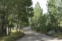 Bishop 2016 (34).jpg Bishop 2016 (34).jpg