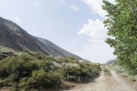 Bishop 2016 (37).jpg Bishop 2016 (37).jpg