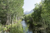 Bishop 2016 (38).jpg Bishop 2016 (38).jpg