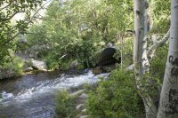 Bishop 2016 (46).jpg Bishop 2016 (46).jpg