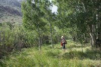 Bishop 2016 (30).jpg Bishop 2016 (30).jpg