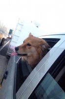 IMG_6911.JPG IMG_6911.JPG