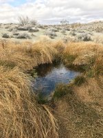 KoyPnd.jpg KoyPnd.jpg