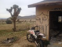 IMG_7062.JPG IMG_7062.JPG