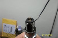 Plug Chop no flash Feb 10, 2017.JPG Plug Chop no flash Feb 10, 2017.JPG