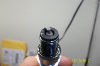 Plug Chop w Flash Feb 10.JPG Plug Chop w Flash Feb 10.JPG