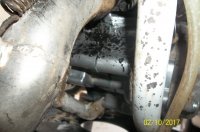 Spooge1.JPG Spooge1.JPG