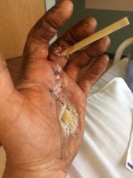 IMG_3198.JPG IMG_3198.JPG