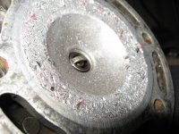 The Head is Pitted  WHY.JPG