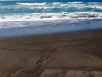 FullSizeRender.jpg FullSizeRender.jpg