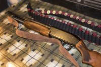 Mossberg 500 (1).JPG