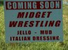 midgetWrestling.jpg