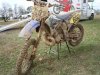 Redbud_grass_race_1.jpg Redbud_grass_race_1.jpg