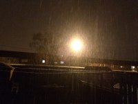 384F19DE-E869-46C8-96B6-4E2D01E5954F.jpeg 384F19DE-E869-46C8-96B6-4E2D01E5954F.jpeg