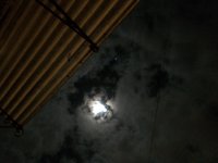 F943C8CD-1C7D-45CE-9B18-C015756856A0.jpeg F943C8CD-1C7D-45CE-9B18-C015756856A0.jpeg