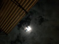 BDB86FB3-2164-4925-990B-3E8968653441.jpeg BDB86FB3-2164-4925-990B-3E8968653441.jpeg