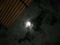 90D0593A-2556-4B34-96DA-248B7F1C4740.jpeg 90D0593A-2556-4B34-96DA-248B7F1C4740.jpeg