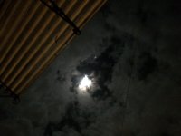 EA48FDA7-E8E8-46E4-820E-B21A516CB728.jpeg EA48FDA7-E8E8-46E4-820E-B21A516CB728.jpeg