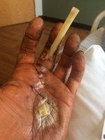 IMG_3197.JPG IMG_3197.JPG