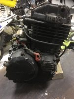 IMG_3613.jpg IMG_3613.jpg