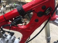 85F4C779-8873-4525-8306-3945A8B24F81.jpeg 85F4C779-8873-4525-8306-3945A8B24F81.jpeg