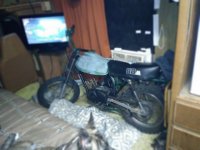 IMG_20181207_072538.jpg IMG_20181207_072538.jpg