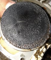 01341051-9C63-4B16-8618-AEED839C9994.jpeg 01341051-9C63-4B16-8618-AEED839C9994.jpeg