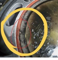 3BDEF32A-C7F3-41AE-B688-096704964A88.jpeg 3BDEF32A-C7F3-41AE-B688-096704964A88.jpeg